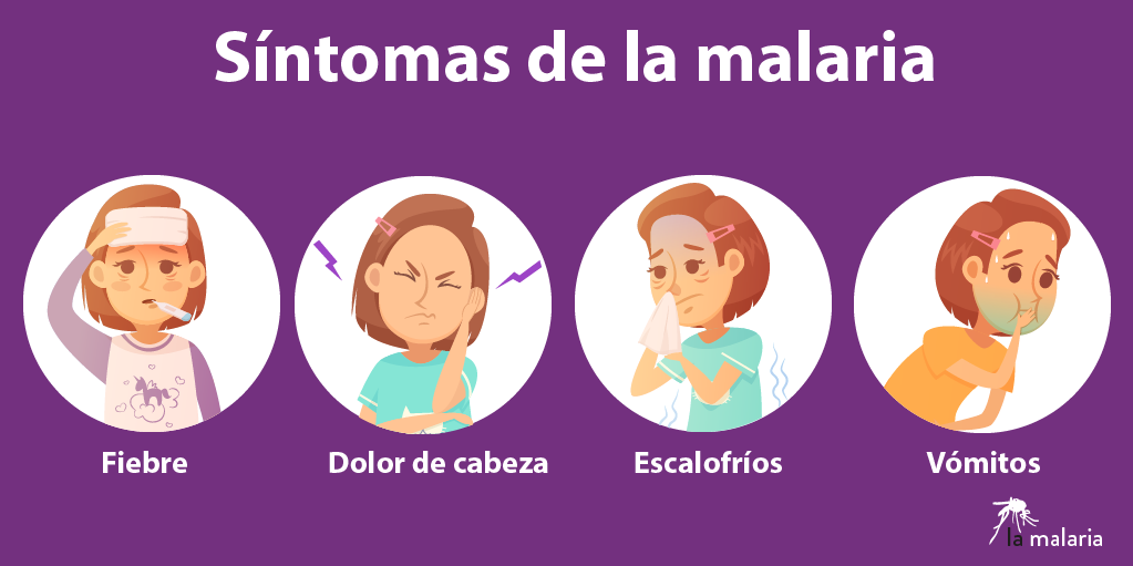 sintomatología malaria