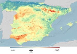 El mosquito de la malaria en España